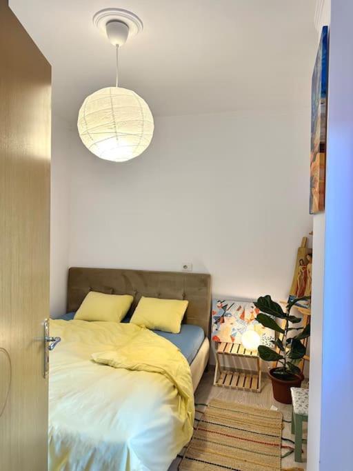 Family Living Tirana Apartment ภายนอก รูปภาพ